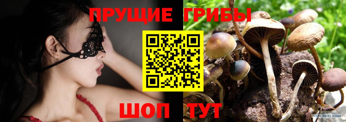 Галлюциногенные грибы MAGIC MUSHROOMS  Вход с VPN  Качканар 