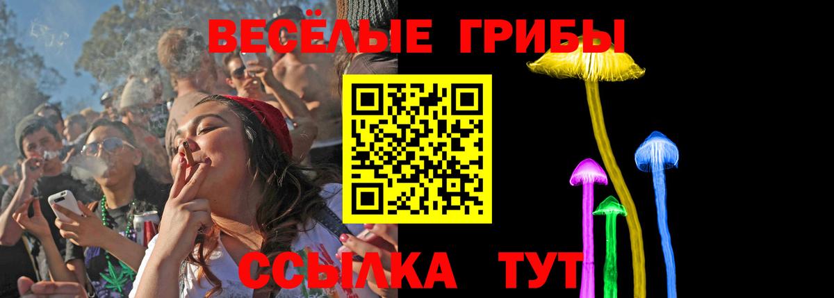 Псилоцибиновые грибы мухоморы Качканар